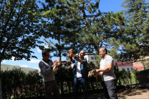 Yaralı Ve Yavru Şahinler Altınyıldız Koleji Tarafından Doğal Yaşam Alanlarına Kavuşturuluyor
