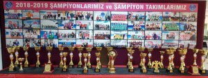 ALTINYILDIZDA SPORDA ALTIN YIL