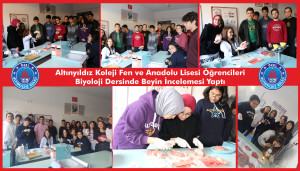 Altınyıldız Koleji Fen ve Anadolu Lisesi Öğrencileri Biyoloji Dersinde Beyin İncelemesi Yaptı