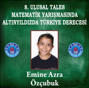 8. ULUSAL TALES MATEMATİK YARIŞMASINDA ALTINYILDIZDA TÜRKİYE DERECESİ